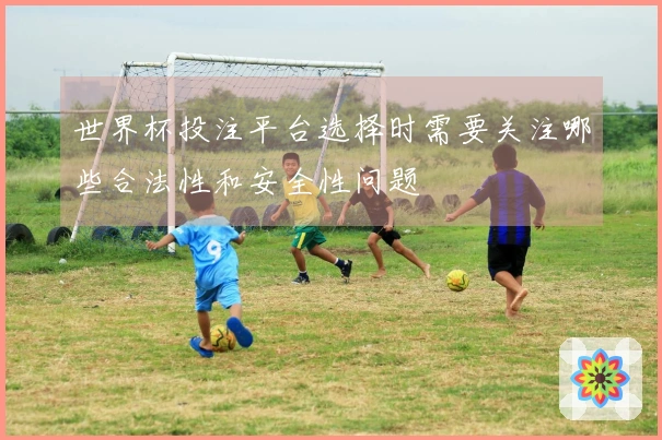 世界杯投注平台选择时需要关注哪些合法性和安全性问题